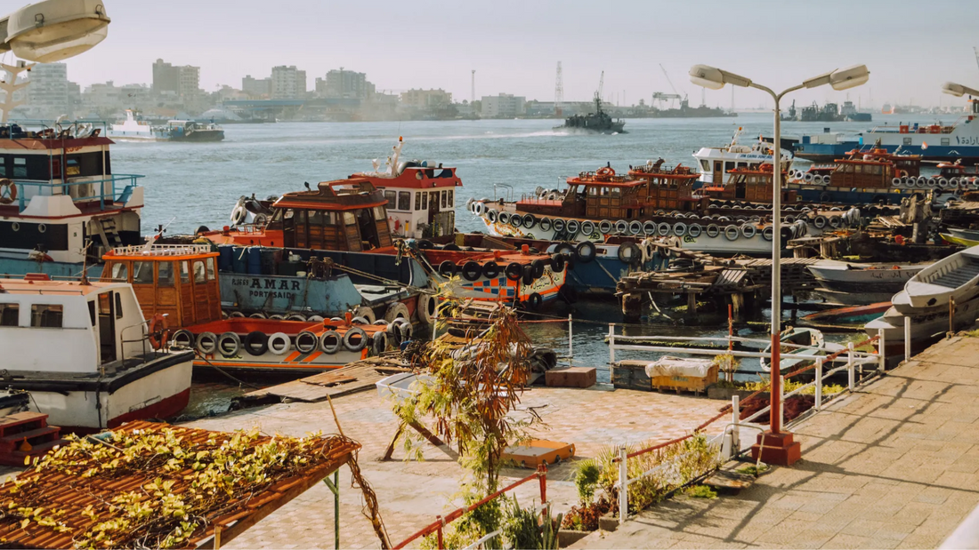 Exploring the Heritage of the Suez Canal and the Simsimiyya Dance