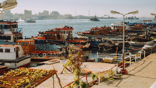 Exploring the Heritage of the Suez Canal and the Simsimiyya Dance