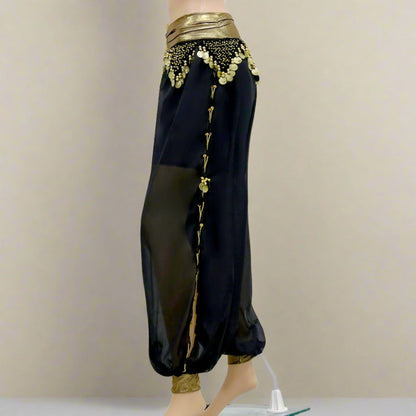 Shop our dance pants collection featuring a variety of styles for belly dance practice and performances. Find comfortable and versatile options including harem pants, yoga pants, and stretch pants. Our selection offers different cuts, colors, and fabrics designed for movement, layering, and a perfect fit for every dancer